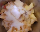 A picture of step 3 of Apple Dry Fruits Shake.