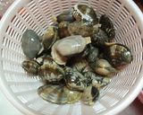 A picture of step 3 of How To Quickly Remove Sand From Manila Clams.