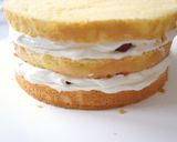 A picture of step 5 of Decorated Christmas Cake.