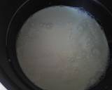 Irmgards Lemon/orange & Coconut Icecream recipe step 3 photo
