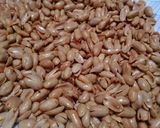 Foto langkah ke 5 dari resep Kacang Bawang3.