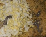 Foto del paso 3 de la receta: Empanadas de humita🤤