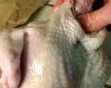 A picture of step 12 of Roast Chicken with Fennel.