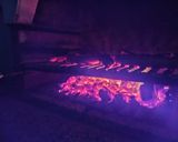 Foto del paso 1 de la receta: Barbacoa de Carne