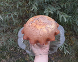 Foto del paso 4 de la receta: Budín Marmolado