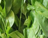 รูปขั้นตอนการทำที่ 1 ของ ผักหวานป่าผัดไข่