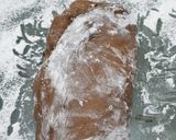 Foto langkah ke 9 dari resep SOURDOUGH BROWNIE ARTISAN BREAD🌾.