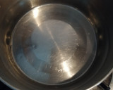 Foto langkah ke 6 dari resep Biji Salak /Kolak Biji Salak/Bubur Biji Salak.