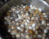 Foto del paso 3 de la receta: Caracoles en salsa de hierbas aromáticas y plantas medicinales