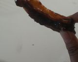 Foto langkah ke 9 dari resep Minimalis choco churros🍫.
