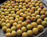 A picture of step 1 of Reduced-Sodium Umeboshi.