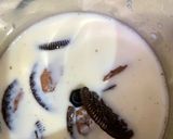 A picture of step 2 of Oreo milkshake.