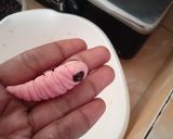 Foto langkah ke 4 dari resep 24. Pink Caterpillar cookies.