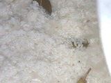 Nasi Liwet Sunda