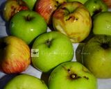 Une image de l'étape 1 de Gelée de pommes.