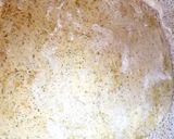 A picture of step 6 of Alfredo stuffed Garlic Bread. 😘.