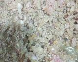 عکس مرحله 2 از دستور قیمه گوشت چرخکرده با برنج زعفرانی