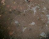 A picture of step 1 of Dal Makhani.