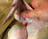 A picture of step 13 of Roast Chicken with Fennel.
