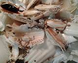 Nappa cabbage recipe step 5 photo