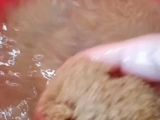كسكس القمح 😍