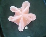 A picture of step 9 of Elegant Japanese Sweets (Jo-Namagashi) for Spring.