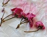 A picture of step 7 of Salt-Preserved Sakura Blossoms.