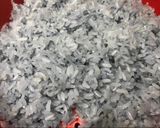 Hình bước làm 3 của món Xôi xoài hoa đậu biếc