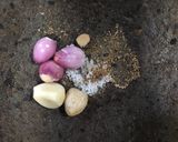 Foto langkah ke 2 dari resep Cireng isi ayam suwir pedas manis.