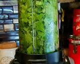 Mike's Garden Fresh Pesto Fettuccini recipe step 2 photo