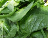 Hình bước làm 3 của món Lẩu bò