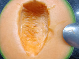 Crema de melón 🍈
