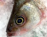 A picture of step 2 of Buying, Preparing , Cooking Fish.