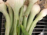 Cebollitas sazonadas