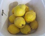 A picture of step 2 of Quince Jelly (Carne de Membrillo).