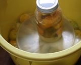 A picture of step 5 of Sodium-Reduced Umeboshi.