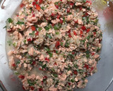 Foto del paso 5 de la receta: Ceviche de salmón