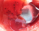 A picture of step 2 of Sig's Cucumber and Melon Cooler.