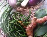 Foto langkah ke 1 dari resep Sayur Lodeh Terong No Tumis No Uleg No Ribet aka Plung".