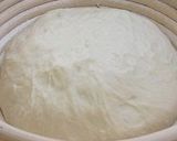 A picture of step 7 of Pain de Campagne-style Bread with Bread and Cake Flour - Version 3.