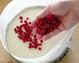 Tejszínes túrótorta recept fázis 9 fotója