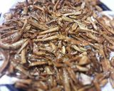 A picture of step 5 of Mushroom Jerky.