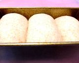 A picture of step 5 of Bread With Crunchy Crust from Rice Flour.