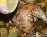 A picture of step 8 of Chicken with potatoes in the oven.
