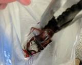 Preparing and Serving Crayfish recipe step 2 photo