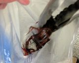 A picture of step 2 of Preparing and Serving Crayfish.