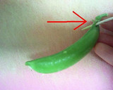 A picture of step 1 of How to de-String Sugar Snap Peas.