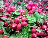 A picture of step 1 of Elegant Radishes.