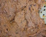 दाल मखनी(dal makhani recipe in Hindi) रेसिपी चरण 3 फोटो