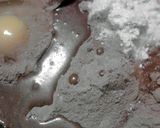 A picture of step 1 of 3 Minute Hot Cocoa Mug Cake.